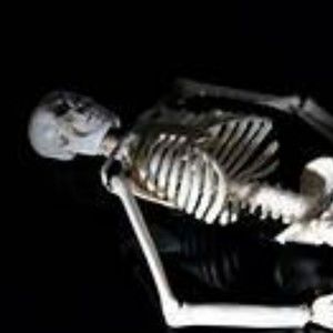 Meet your Posher, Twig